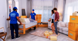 best packers and movers